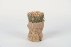 Sfeermakers|ohgreen Droogbloemen