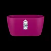 Ecocheques|Potten En Vazen|ohgreen Duo orchidee 25cm