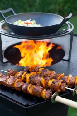 Accessoires En Onderhoud|ohgreen Dynamic Centre / Wok & Dutch oven houder