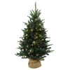Kerstbomen|ohgreen Everton pe burlap base 61cm 50l