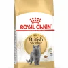 Kat Voeding|Werelddierendag|ohgreen Fbn british shorthair 10kg