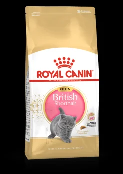 Kat Voeding|Werelddierendag|ohgreen Fbn kitten british shorthair 2kg