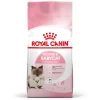 Kat Voeding|Werelddierendag|ohgreen Fhn mother & babycat 4kg
