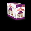 Kat Voeding|ohgreen Fhn sensory taste in gravy 85g x 12