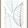 Sfeermakers|ohgreen fotolijst brasil bruin (fsc 100%) 18x24 cm