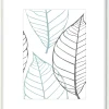 Sfeermakers|ohgreen fotolijst brasil wit (fsc 100%) 21x30 cm