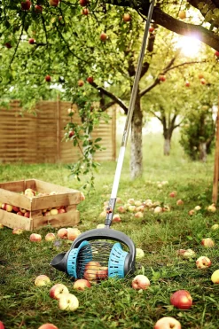 Handgereedschap|Ecocheques|ohgreen FRUITCOLLECTOR