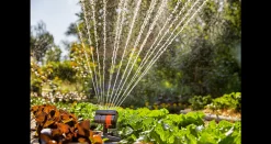 Bewatering|Ecocheques|ohgreen Gardena zwenksproeier AquaZoom compact