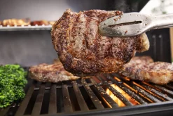 Bbq|ohgreen Gasbarbecue Genesis E-315, Black