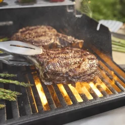 Bbq|ohgreen Gasbarbecue Spirit E-335