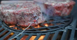 Bbq|ohgreen Gasbarbecue spirit epx-315 premium gbs