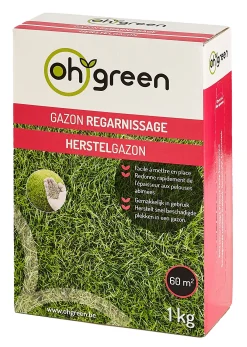 Zaden|Maak Je Tuin Lenteklaar|ohgreen Gazonzaad herstelgazon 1kg
