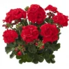 Voorjaar|Ecocheques|ohgreen Geranium recht p12
