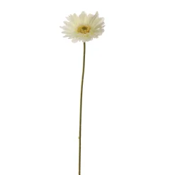 Sfeermakers|ohgreen Gerbera creme 56 cm