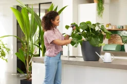 Bewatering|Ecocheques|ohgreen Gieter 1,8l