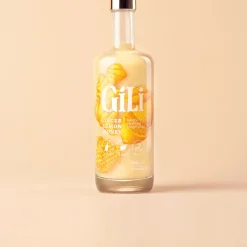 Drank|Ecocheques|ohgreen Gili gember elixir 700ml