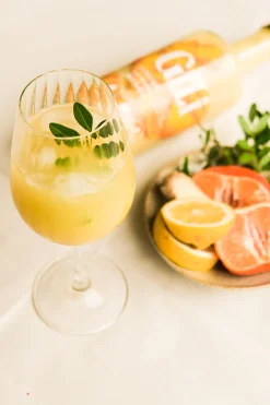 Drank|Ecocheques|ohgreen Gili gember elixir 700ml