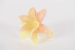 Potten En Vazen|ohgreen Glazen amaryllis bloem
