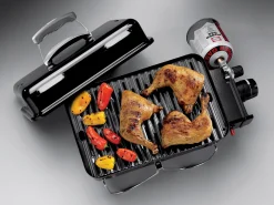 Bbq|ohgreen Go-anywhere gasversie