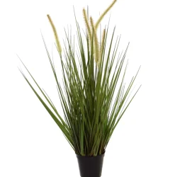 Sfeermakers|ohgreen Gras m/kattest pot 75cm groen