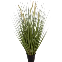 Sfeermakers|ohgreen Gras m/kattest pot 92cm groen