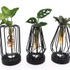 Composities En Terrariums|Ecocheques|ohgreen Groenmix in glas + led