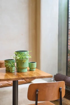 Potten En Vazen|ohgreen GR.ORCH.POT D17 MOON GRASGRO