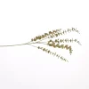 Kerstdecoratie|ohgreen Grote eucalyptus tak 90cm goud