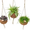 Groene Planten|Ecocheques|ohgreen Hangende sierpot kokodama p15 h15
