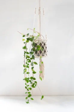 Potten En Vazen|ohgreen Hanger Curtis