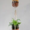 Potten En Vazen|ohgreen Hanger Dindy duo