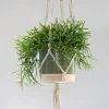 Potten En Vazen|ohgreen Hanger Stitt