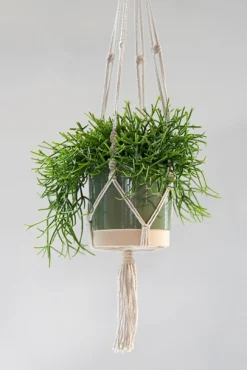 Potten En Vazen|ohgreen Hanger Stitt