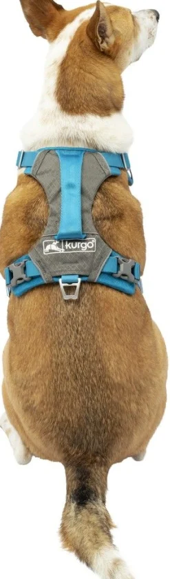 Hals-En Leibanden|ohgreen Harnas kurgo journey air tuigje bl-l
