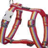 Hals-En Leibanden|ohgreen Harnas rd rainbow -l