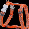 Hals-En Leibanden|ohgreen Harnas rd snake eyes -s