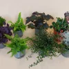 Najaar|Ecocheques|ohgreen Herfstmix