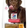 Hond Voeding|Werelddierendag|ohgreen Hill's science plan adult healthy mobility large breed hondenvoer kip 12kg