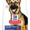 Hond Voeding|Werelddierendag|ohgreen Hill's Science Plan Mature Adult Large Breed Hondenvoer Kip 12kg