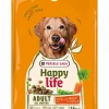Werelddierendag|Hond Voeding|ohgreen Hondenbrokken happy life adult met rundsmaak 2,5kg
