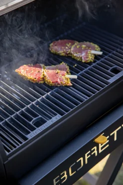 Bbq|ohgreen Houtskoolbarbecue Fratello 2.0