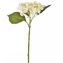 Sfeermakers|ohgreen Hydrangea creme 45 cm