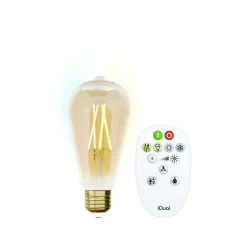 Verlichting|Ecocheques|ohgreen Idual filament bulb st64 e27 ambergoud + remote