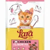 Werelddierendag|Kat Voeding|ohgreen Kattenbrokken lara junior care with chicken 1,9kg
