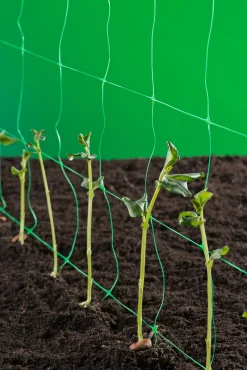 Bind En Steun|Ecocheques|ohgreen Klim-groei-geleidenet 2x5m groen