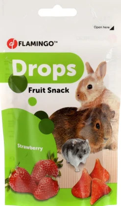 Knaagdieren Voeding|ohgreen Knaagdierdrops aardbei 75gr