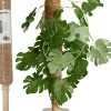 Ecocheques|Bind En Steun|ohgreen Kokosplantenstok