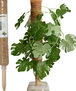 Ecocheques|Bind En Steun|ohgreen Kokosplantenstok