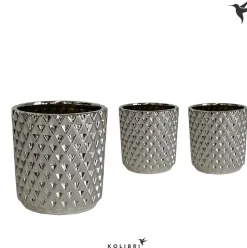 Vaste Planten|Ecocheques|ohgreen Kolibri home diam silver potje