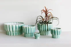 Sfeermakers|ohgreen Kom ocean